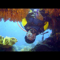 Photo from the trip Diving Bali with Hong Kong Diver