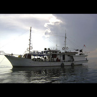 Photo from the trip Diving South Sulawesi 2004
